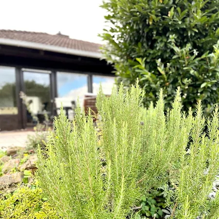 Prázdninový dům Weinbergblick - Nahe Wuerzburg - 2 Schlafzimmer - Familienfreundlich - Terrasse Unterleinach