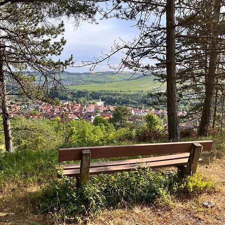 Weinbergblick - Nahe Wuerzburg - 2 Schlafzimmer - Familienfreundlich - Terrasse * Unterleinach