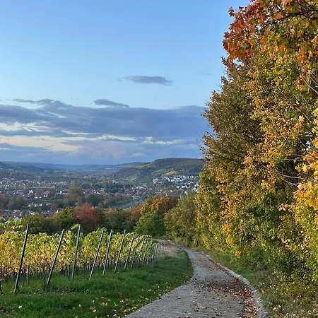 Weinbergblick - Nahe Wuerzburg - 2 Schlafzimmer - Familienfreundlich - Terrasse Unterleinach